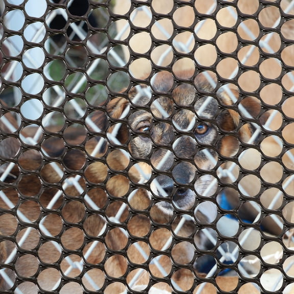 1 Roll Garden Fence Chicken Wire Plastic Mesh Screen Garden Netting Poultry Net