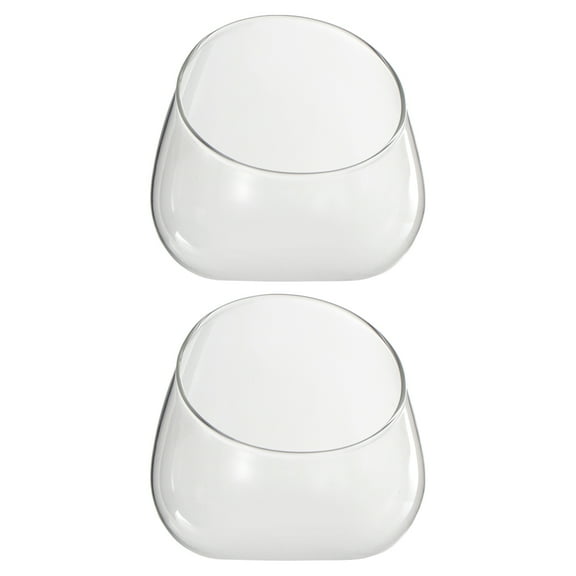 Eease 2pcs Micro Landscape Bottles Transparent Glass Succulent Pots Storage Bottles