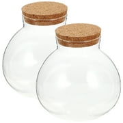 Eease 2pcs Sealed Clear Terrarium Glass Bottle Microlandscape Glass Jar Spherical Ecological Bottle