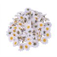 thumbnail image 1 of Eease 4” Artificial Fabric White Daisy Wedding Bouquet (100 Count), 1 of 6