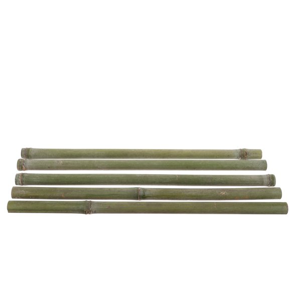Eease 5Pcs Bamboo Stakes for Plants Bamboo Plant Trellis for Indoor Potted Plants Garden Bamboo Tubes Decors