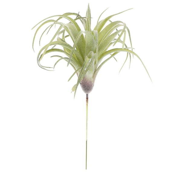 Eease Artificial Succulents Plants Unpotted Fake Flocking Tillandsia Air Plants