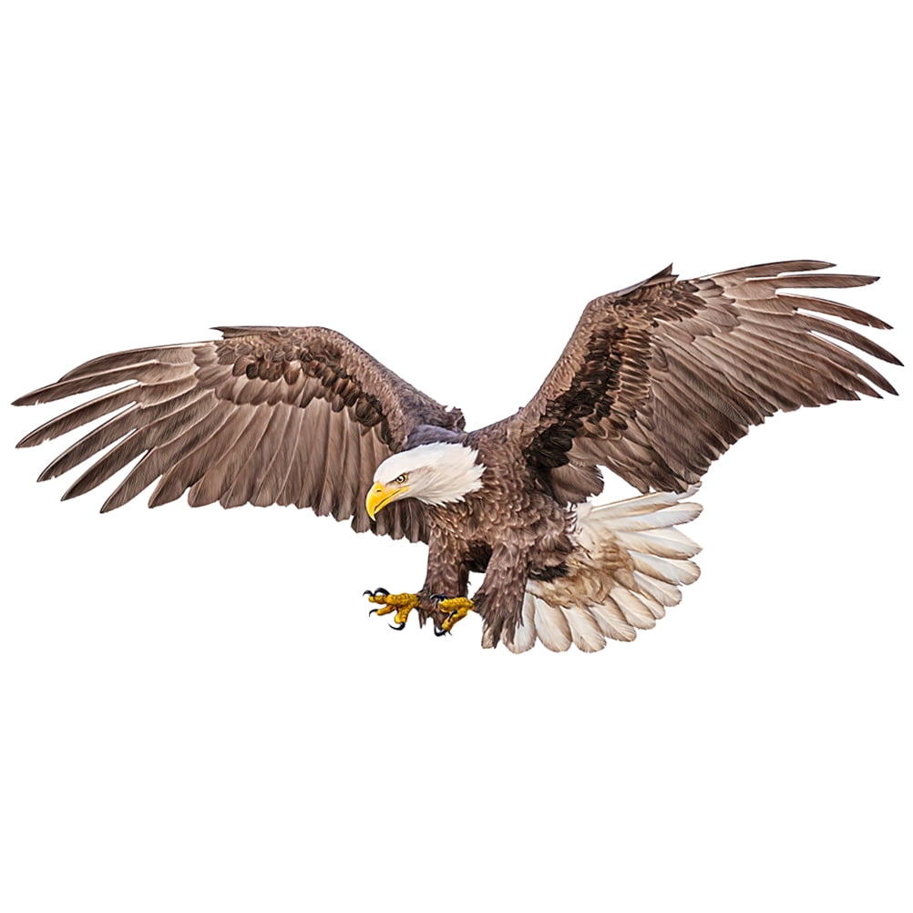Eease Flying Bald Eagle Wall Decal Nursery Bird of Prey Animal Sticker
