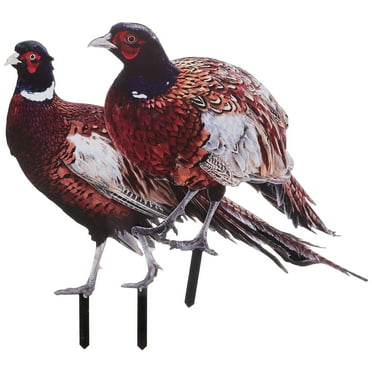 Eease YARNOW 2pcs Acrylic Pheasant Garden Statues for Outdoor Decor