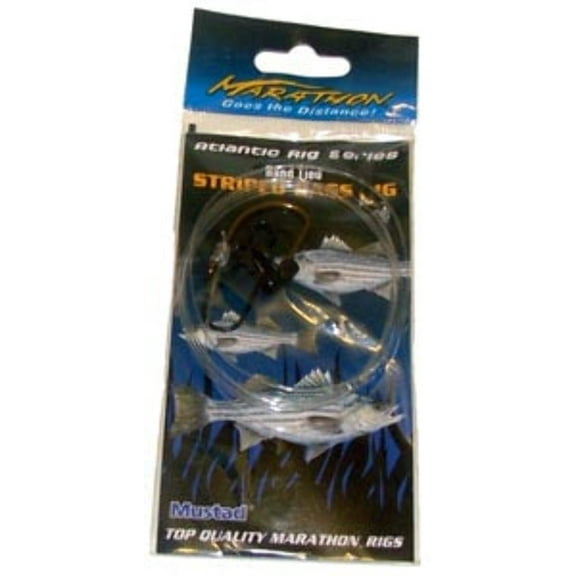 Eel Rig Striped Bass