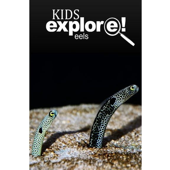 Eels - Kids Explore: Animal books nonfiction - books ages 5-6, (Paperback)
