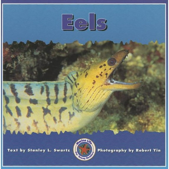 Eels (Paperback)