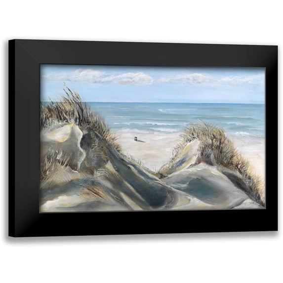 Eenhoorn, Alice 14x10 Black Modern Framed Museum Art Print Titled - Dunes IV