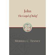 Eerdmans Classic Biblical Commentaries  John The Gospel of Belief An Analytic Study of the Text, Paperback