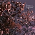 thumbnail image 1 of Eerie Wanda - Internal Radio - Music & Performance - CD, 1 of 1