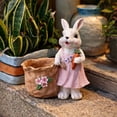 thumbnail image 1 of Eespoir Easter Bunny Resin Planter, Cute Pots with Carrot Floral Details, Indoor Outdoor Garden Decor for Succulents, Small Plants, Tabletop, Shelf, Spring Decoration(D), 1 of 3