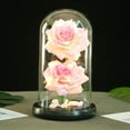 thumbnail image 1 of Eespoir Valentine's Day Romantic Glass Rose, Flowers Roses Gifts for Women, Acrylic Dome Forever Real Flowers, for Home Furnishing Valentine's Day Gifts(B), 1 of 2
