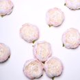 thumbnail image 1 of Efavormart 10 Pack - 3" Silk Peony Flower Heads, Artificial Peonies For Flower Arrangement - Blush, DIY, Wedding, Bridal Bouquets, Table Centerpieces, Parties, Flower Wreath, Home, Floral Backdrop, 1 of 11