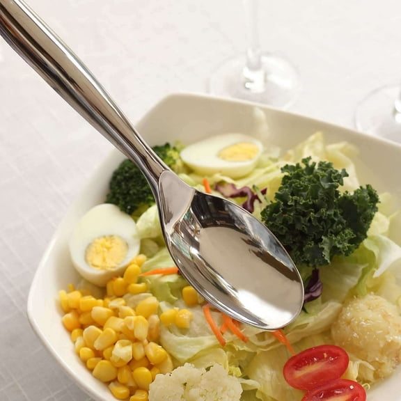 Efavormart 10 Pack Silver Large Serving Spoons, Heavy Duty Plastic Spoons - 10"