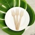 thumbnail image 1 of Efavormart 100 Pcs - Environmentally Friendly Disposable 6" Birch Wood Dinnerware Throw Away Green Party Forks, 1 of 11