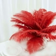 thumbnail image 1 of Efavormart 12 Pack | 13"-15" Red Natural Plume Real Ostrich Feathers Vase Centerpiece, 1 of 10