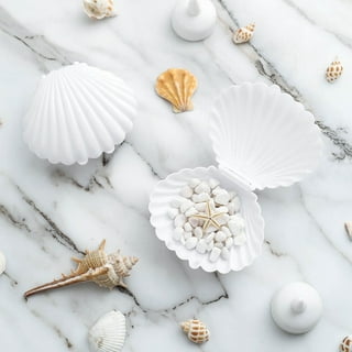 Seashell Party Supplies