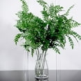 thumbnail image 1 of Efavormart 2 Bushes - 42" Locust Leaf Spray, Artificial Greenery Stems - Green - Perfect for Tablescapes, Banquet, Napkins, Wedding, Office, Events, Chairs, Centerpieces, Backdrops, and Stage Decor, 1 of 11