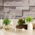 thumbnail image 1 of Efavormart 3 Pack | 3" Artificial PVC Roundleaf Echeveria Stem Succulent Plants, 1 of 11