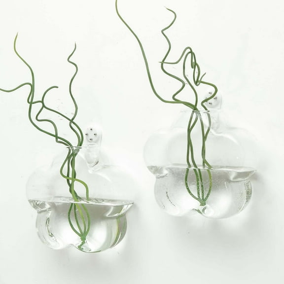 Efavormart 3 Pack Flower Shaped Glass Wall Vase Hanging Glass Terrarium Indoor Wall Planters