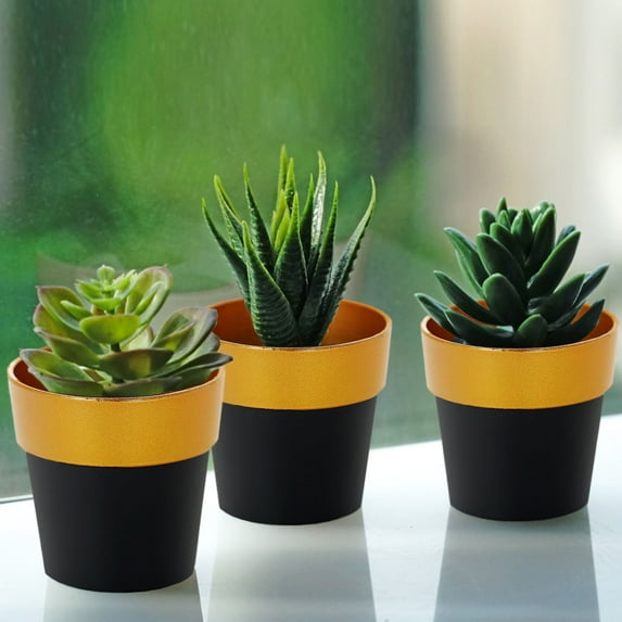 Efavormart 3 Packs | 3" Black/Gold Rimmed Succulent Pots, Indoor Outdoor Small Planters Décor