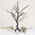 thumbnail image 1 of Efavormart 34" Manzanita Centerpiece Tree + 8 Acrylic Bead Chains For Wedding Banquet Birthday Party Event Tabletop Decorations - Natural, 1 of 9