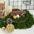 thumbnail image 1 of Efavormart 50g/Bag Green Preserved Natural Reindeer Moss Wedding Decoration Birthday Party Arrangement, 1 of 10