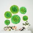 thumbnail image 1 of Efavormart 6 Multi Size Pack | Carnation Mint Green Dual Tone 3D Wall Flowers Giant  Paper Flowers - 12",16",20", 1 of 10