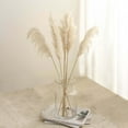 thumbnail image 1 of Efavormart 6 Pack | 32" Dried Wheat Pampas Grass Plant Stems, Grass Spray Decor, 1 of 11