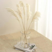 Efavormart 6 Pack | 32" Dried White Pampas Grass Plant Stems, Grass Spray Decor