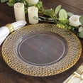 thumbnail image 1 of Efavormart 6 Pack Clear Acrylic Charger Plates With Gold Hammered Rim, 13" Round Plastic Decorative Serving Plates, 1 of 10