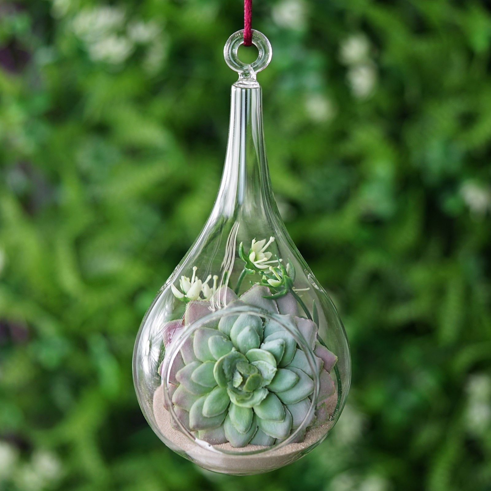 Efavormart 6pcsTeardrop Glass Terrarium Clear Glass Globe Hanging