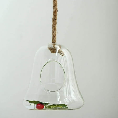Efavormart 9" Bell Hanging Glass Terrarium With Rope Air Plant Terrarium Succulent Planter DIY Terrarium