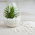 thumbnail image 1 of Efavormart Pack of 2 Lbs White Decorative Crushed Gravel Pebble Stones Vase Fillers For Party Decoration Plant Pot Filler, 1 of 10