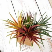 Efavormart Set of 3 | 12" Assorted Artificial Succulent Plants Aloe Cameronii Picks Mini Green Plants