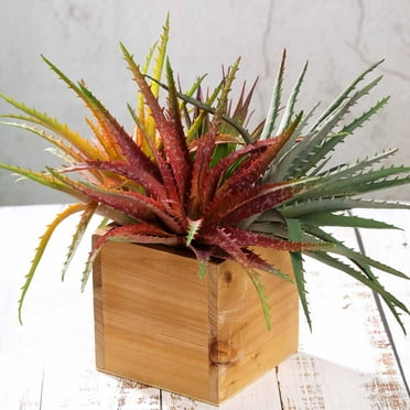 Efavormart Set of 3 | 12" Assorted Artificial Succulent Plants Aloe Cameronii Picks Mini Green Plants