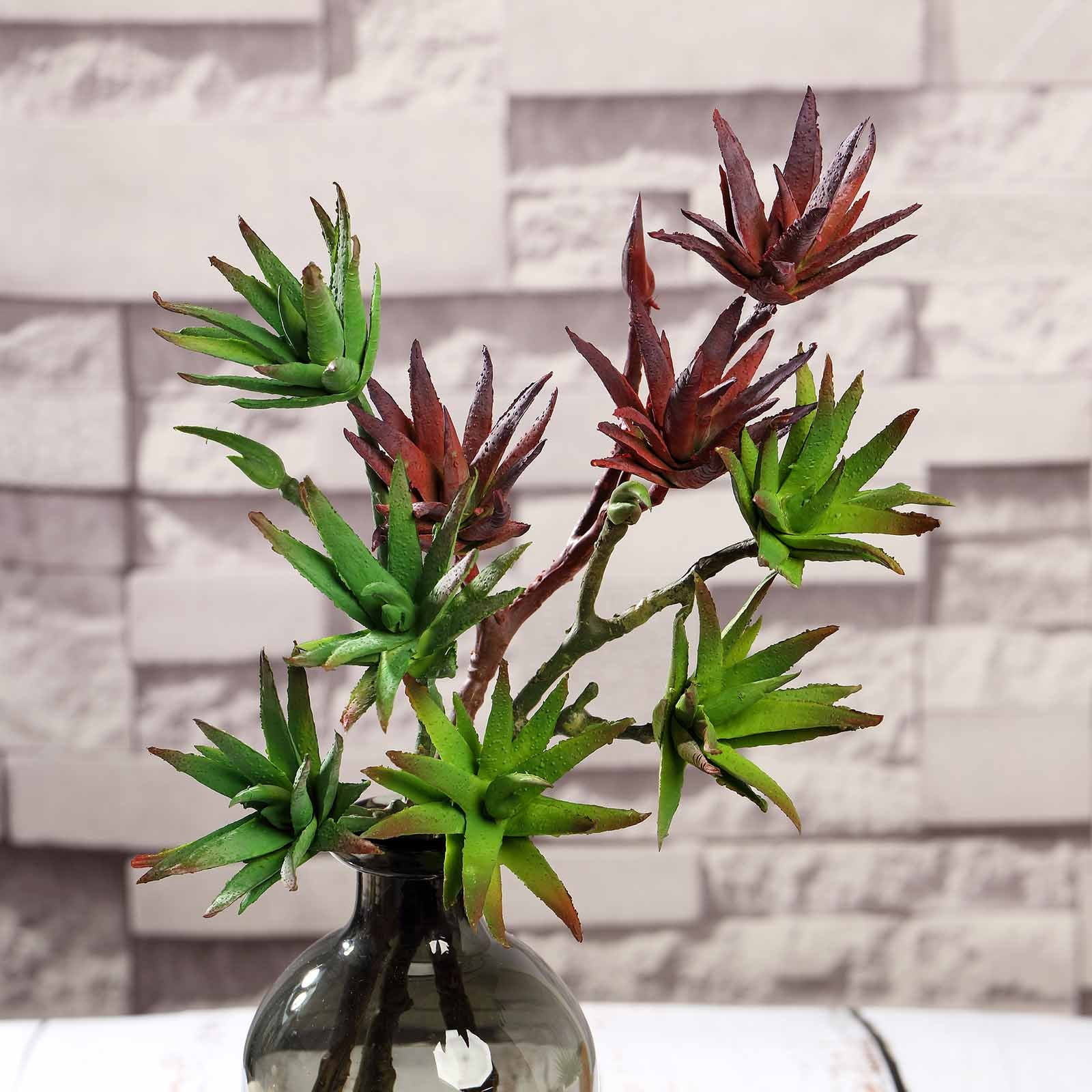 Set of 3 Faux Succulent Plants, Echeveria Long Stem Fake Air
