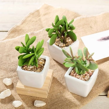 Efavormart Set of 3 | 3'' Assorted Green Mini Artificial Faux Succulent Plants in Ceramic Pot with Decorative Rocks