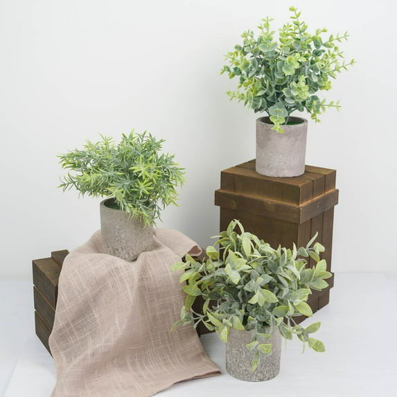 Efavormart Set of 3 | 9" Mini Potted Artificial Plants, Eucalyptus Rosemary Faux Herbs, Boxwood Greenery in Pots - Frosted Green