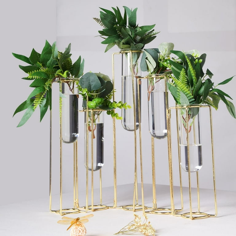 EylKoi Glass Test Tubes with 5 Test Tubes, Test Tube Flower Vases, Hinged  Flower Vases Gold Metal Frame can be Bent, Desktop Glass Planter Tubos De  Ensayo for Hydroponics Home Office Table