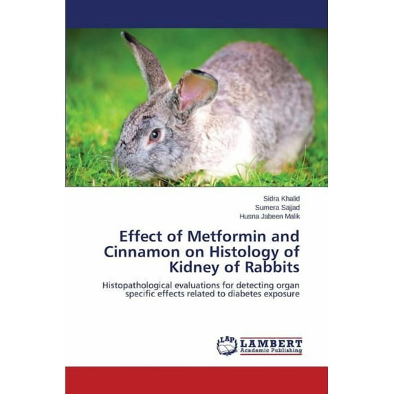 Effect of Metformin and Cinnamon on Histology of Kidney of Rabbits (Paperback)