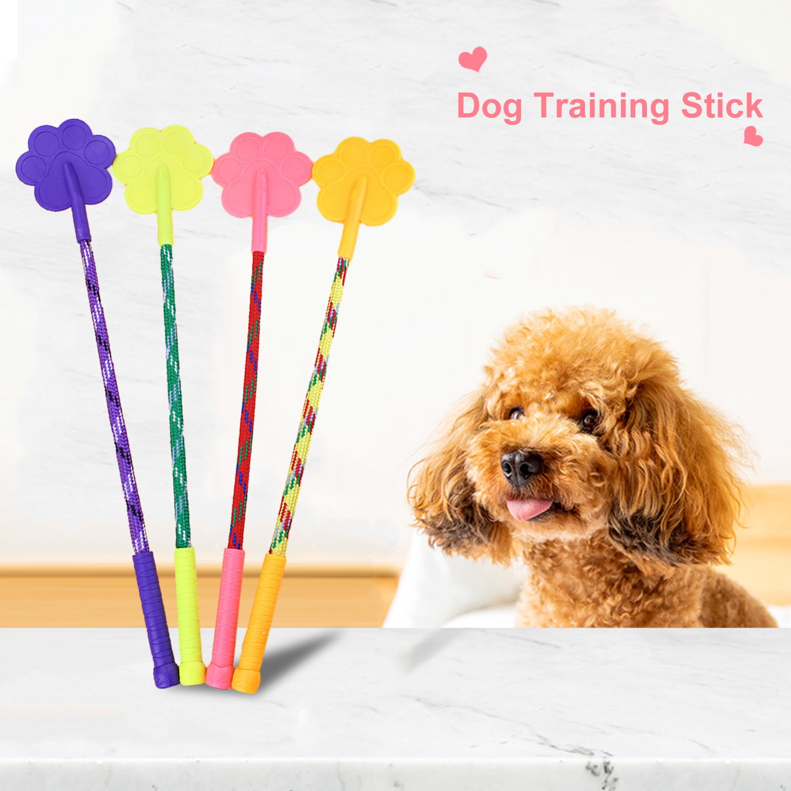 Dog training top excessive barking