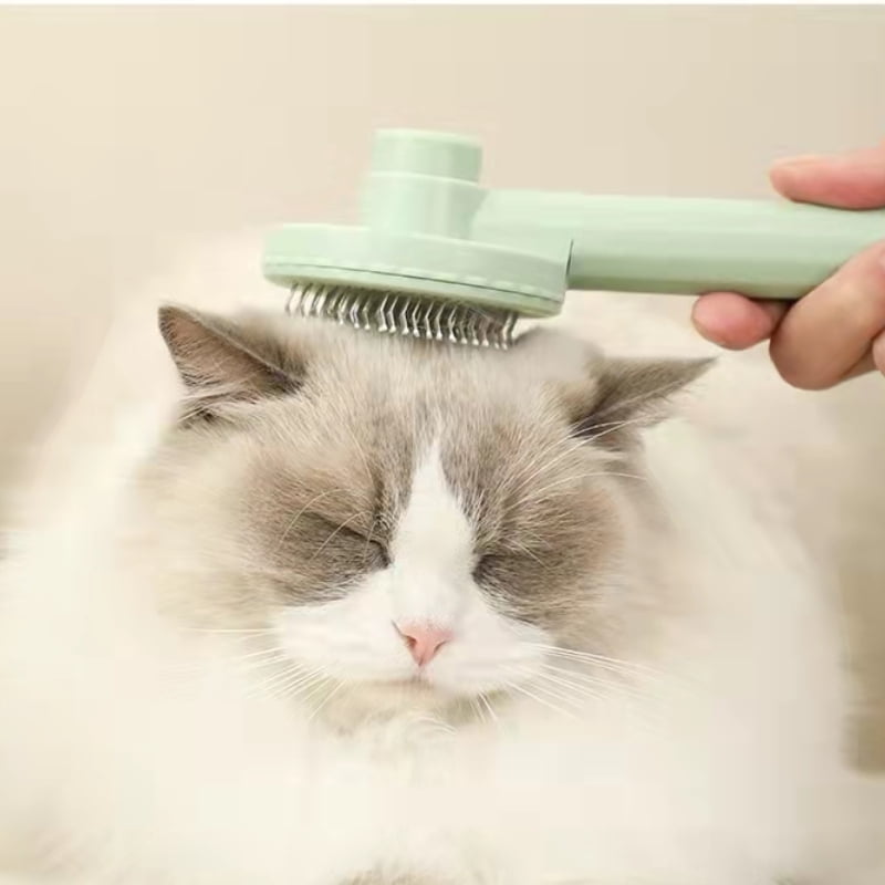 Effective and Gentle Self Cleaning Slicker Pet Grooming Brush - Beauty ...