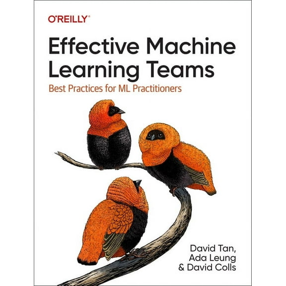 Effective Machine Learning Teams: Best Practices for ML Practitioners (Paperback)
