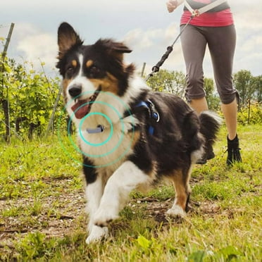 Effective Pet GPS Tracker Dog GPS Tracking and pet Finder The GPS Dog Collar Attachment, Locator Waterproof