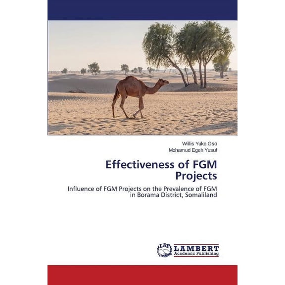 Effectiveness of FGM Projects (Paperback)