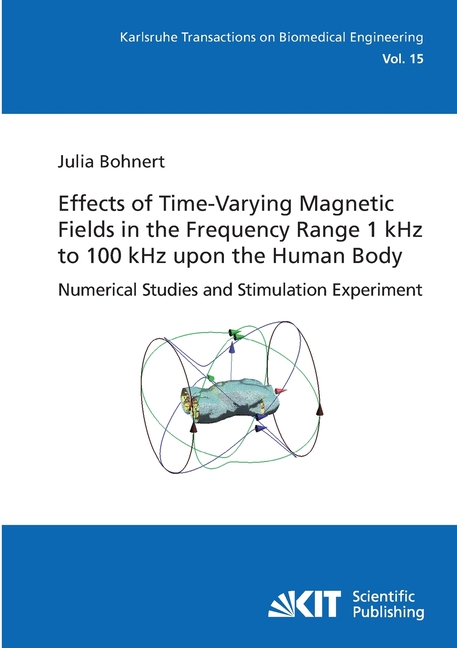 Effects of Time-Varying Magnetic Fields in the Frequency Range 1 kHz to ...