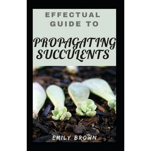 Effectual Guide To Propagating Succulents (Paperback)