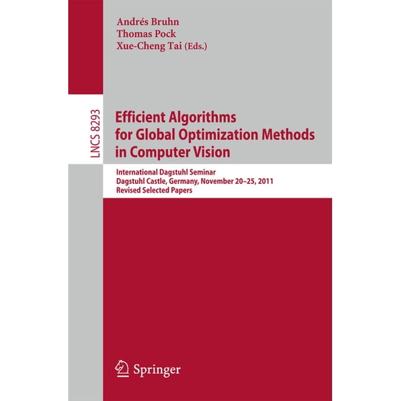 Efficient Algorithms for Global Optimization Methods in Computer Vision: International Dagstuhl Seminar, Dagstuhl Castle, (Paperback)