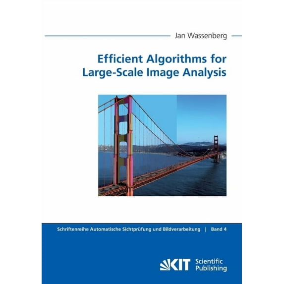 Efficient Algorithms for Large-Scale Image Analysis (Paperback)
